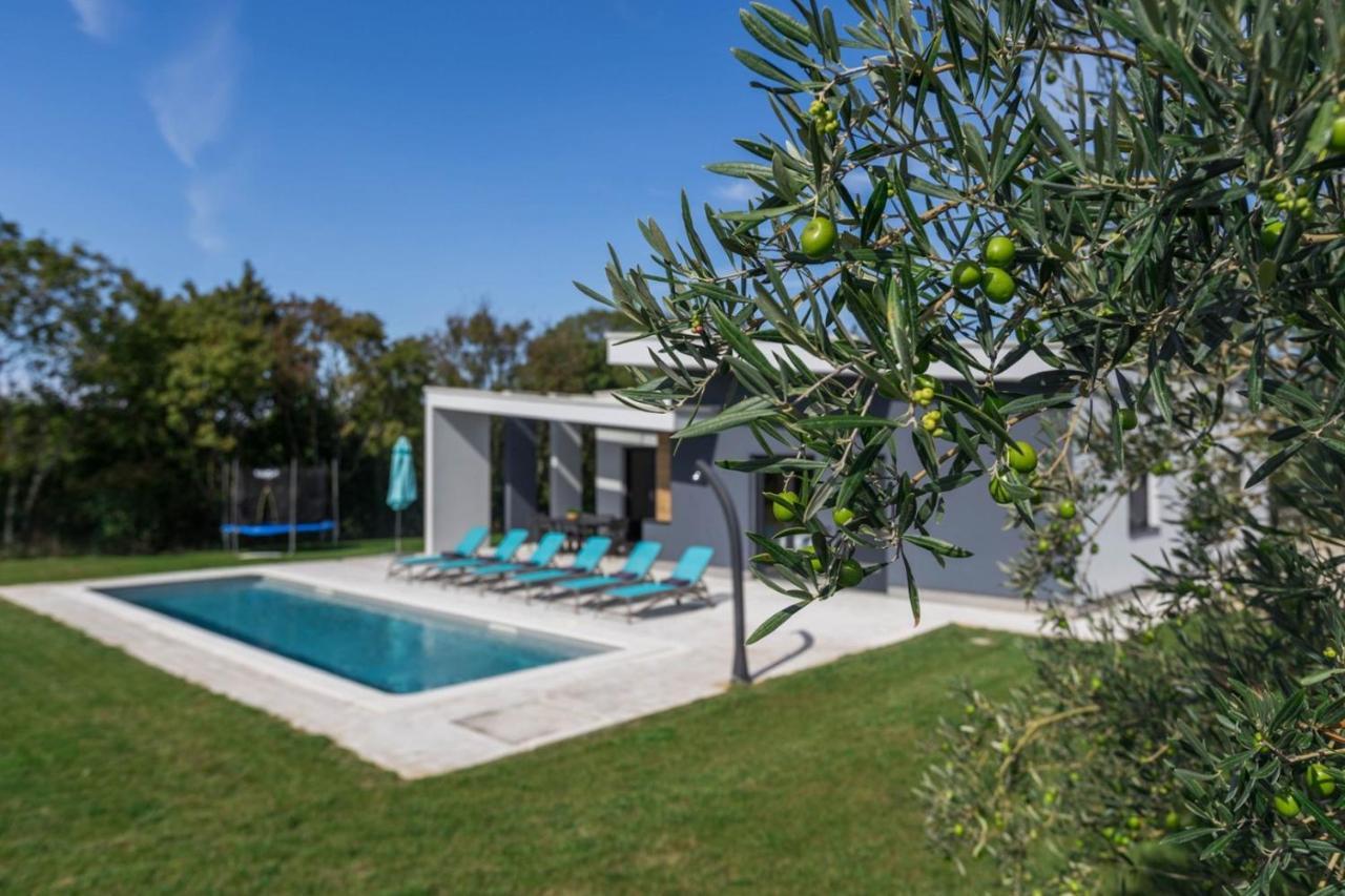 Villa Mariva Žminj Exteriör bild